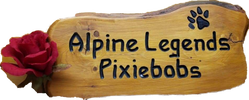 Alpine Legends Pixiebobs